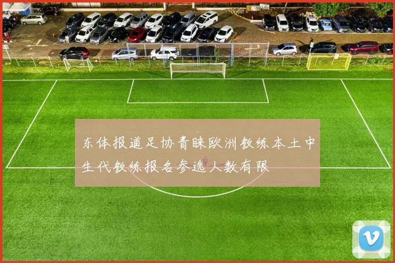 东体报道足协青睐欧洲教练本土中生代教练报名参选人数有限