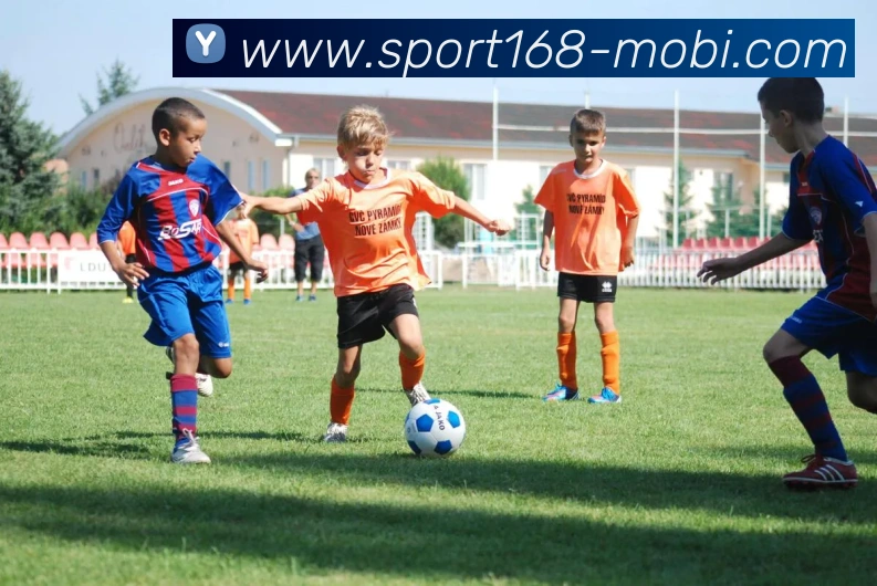 多媒体互动体验