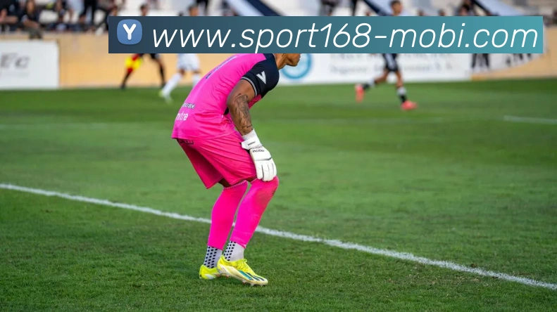 168体育APP 高清赛事图